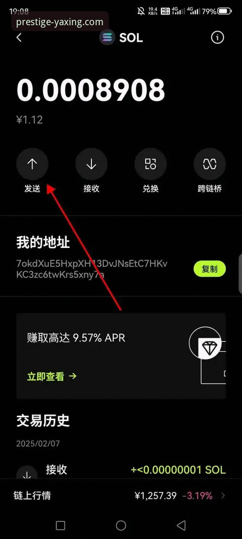 亚星娱乐手机版下载全面解析：新手必备的安装与使用指南